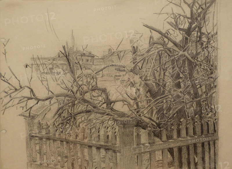 Konstantin Bogaevsky (1872-1943). Landscape. Trees. 1920s.