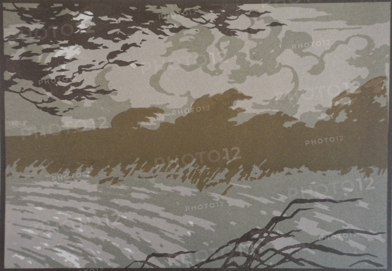 Gust of Wind. Vadim Falileev (1879-1950). 1923. Color lithography.