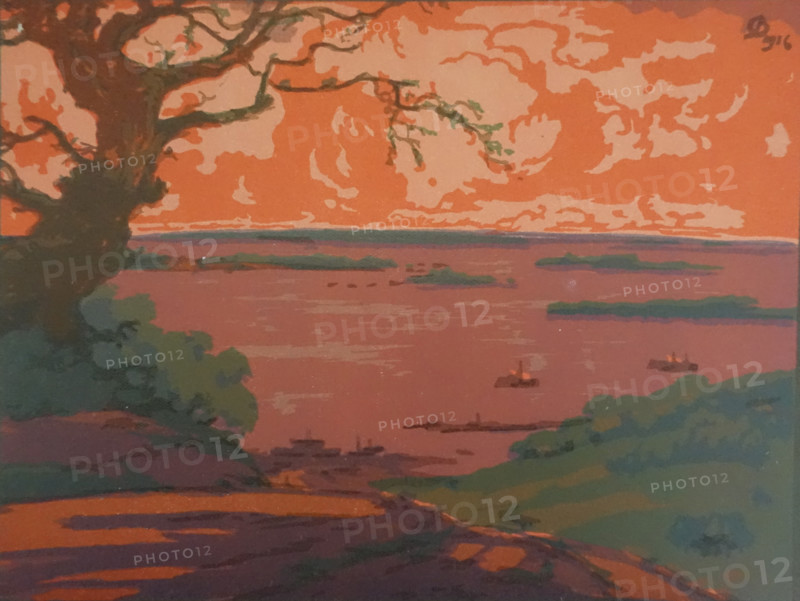 Flood. Vadim Falileev (1879-1950). Early 20th century. Color lithography.