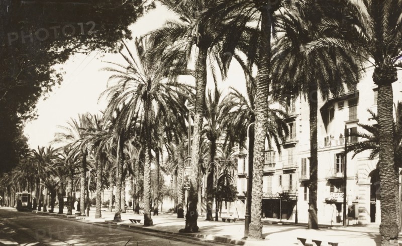 Palma de Mallorca, Paseo de Sagrera, Spain