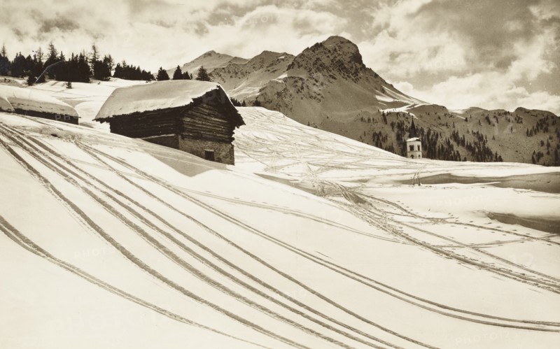 Saint Moritz, Skiefer in Maloja