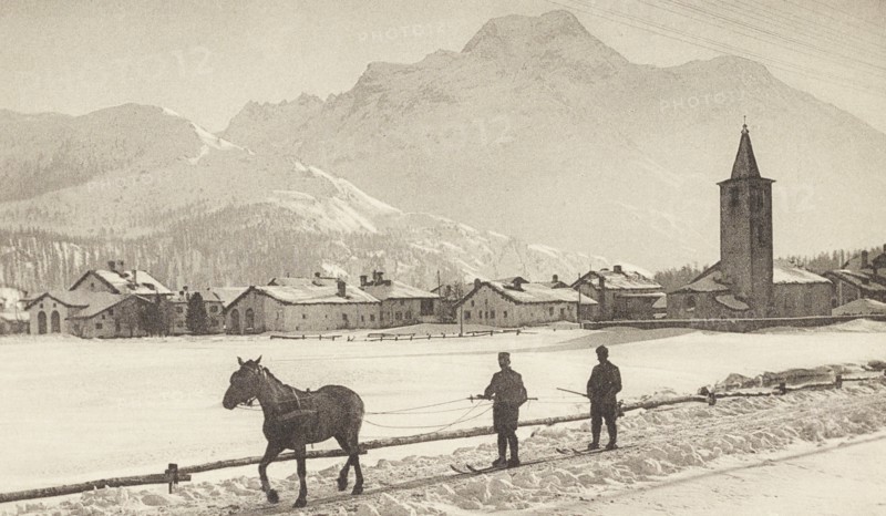 Skijoring, skiing pulled by a horse on Sils Baseglia Lake