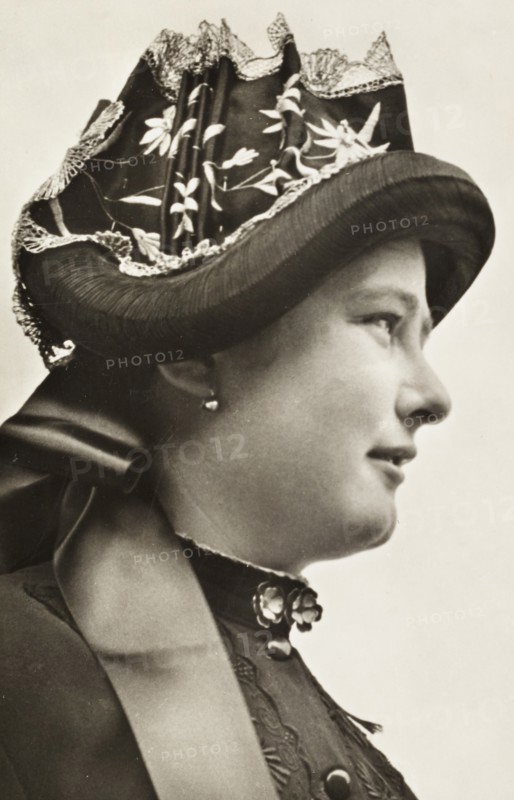 Alpine Traditional Swisse Costume