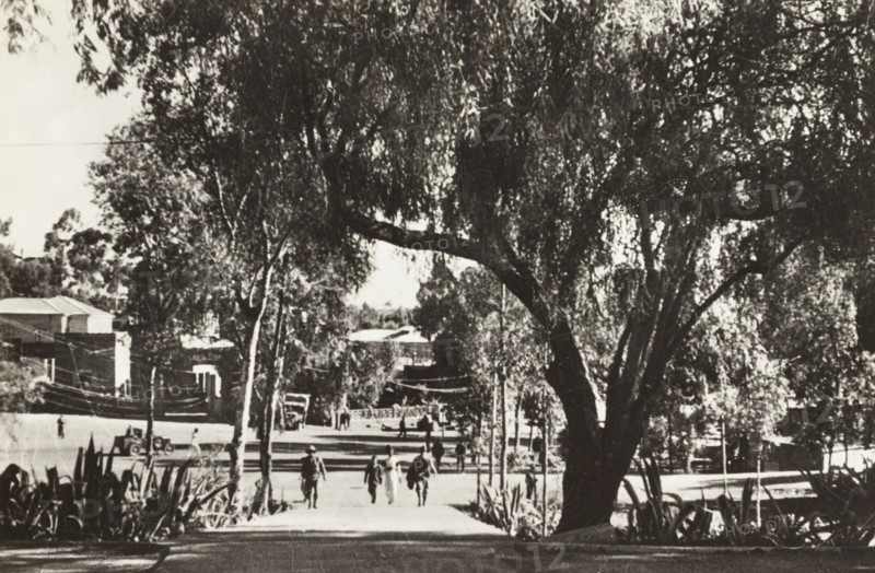 Asmara imbocco Viale De Bono