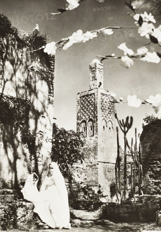 Rabat Le Minaret