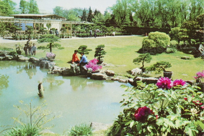 Long Hua Garden of Potted Plants in Shanghai