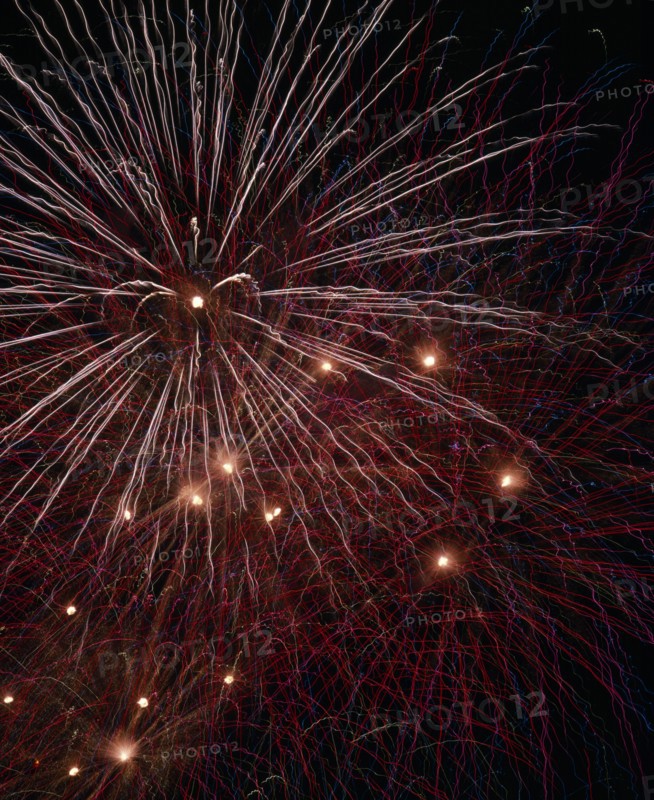 JAPAN,  , Fireworks, Hanabi Flowers of Fire fireworks designed to look like flowers