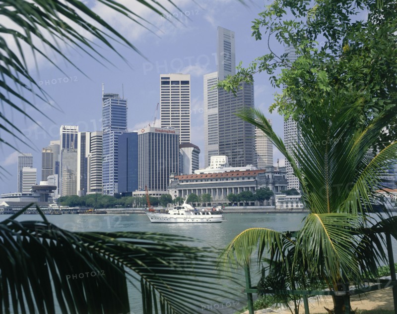 SINGAPORE, Singapore City, City skyscrapers and waterfront seen through palm leaves wth a white cruiser sailing past