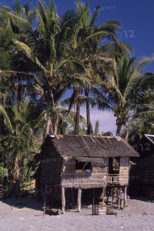 PHILIPPINES, Mindoro Island, Melco thatched wooden beach house on stilts with tall palms behind