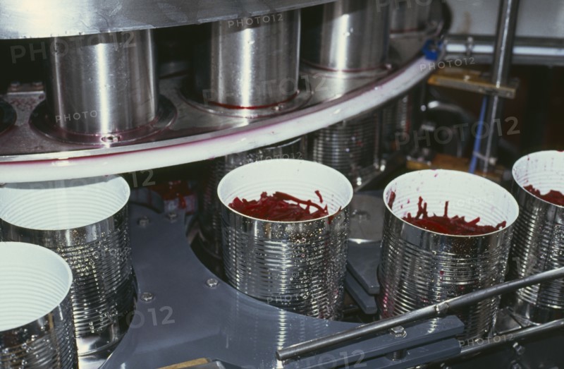 INDUSTRY, Food, Canning, Cans without lids being filled in processing plant