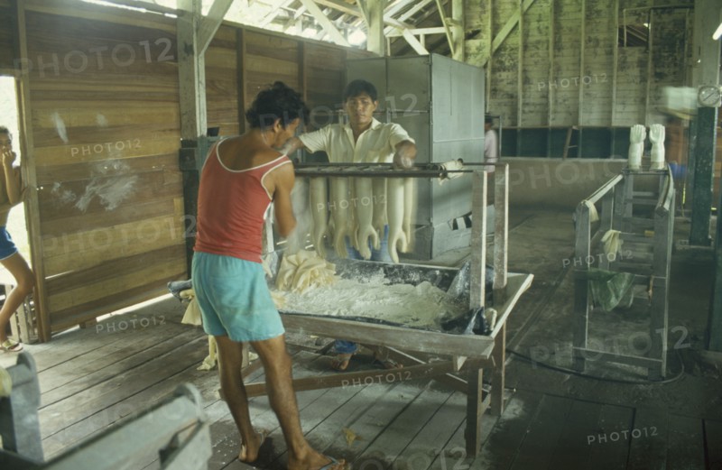 BRAZIL, Near Santarém, Betterra, Local rubber factory with men making rubber gloves