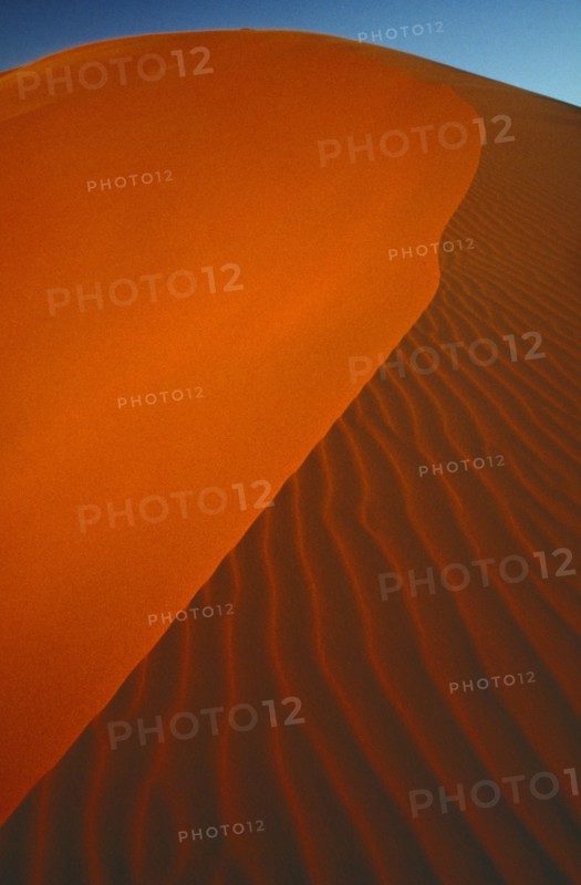 LIBYA, Sahara Desert, Archan, Slip face edge of red sand dune in the south west