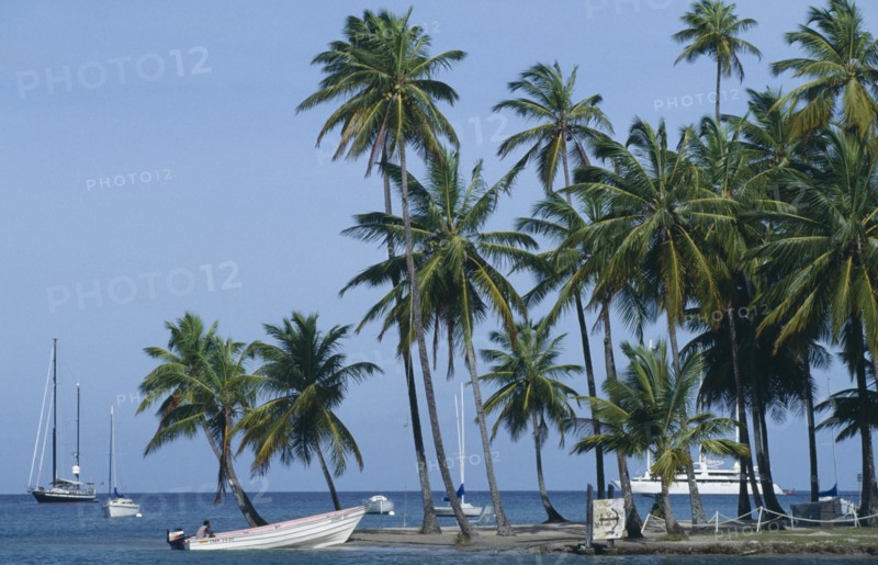 WEST INDIES, St Lucia, Marigot Bay, "Cruise ship, yachts and motor boat in bay with beach and palms."