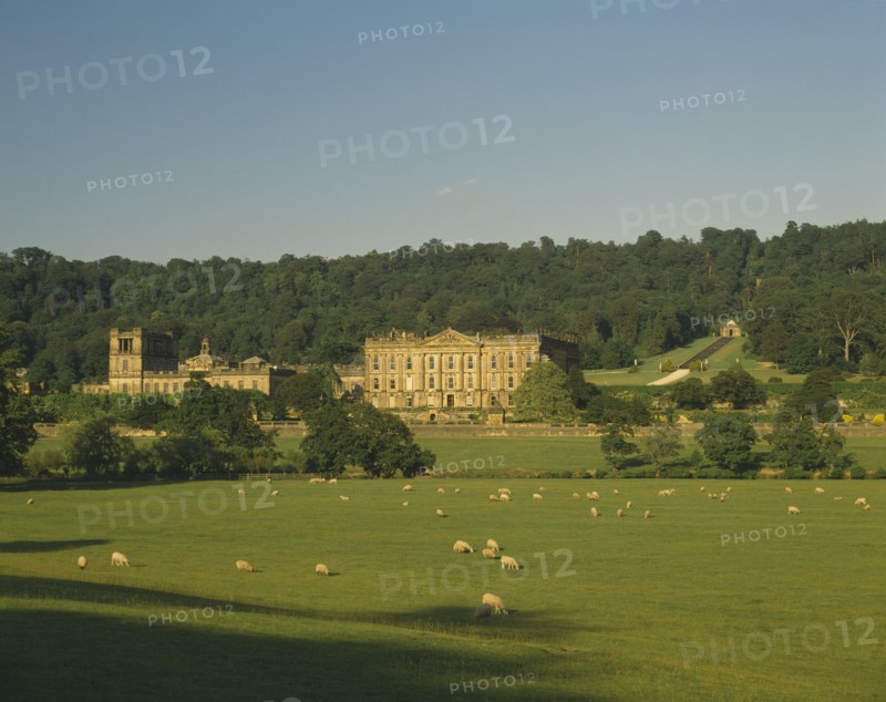 ENGLAND, Derbyshire, Chatsworth House, View towards exterior facade over grazing sheep in pasture in foreground and with trees behind.