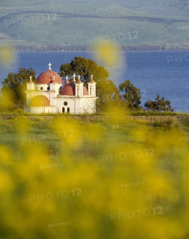 ISRAEL, Galilee, Greek Orthodox Monastery with lake behind and yellow flowers in immediate foreground.