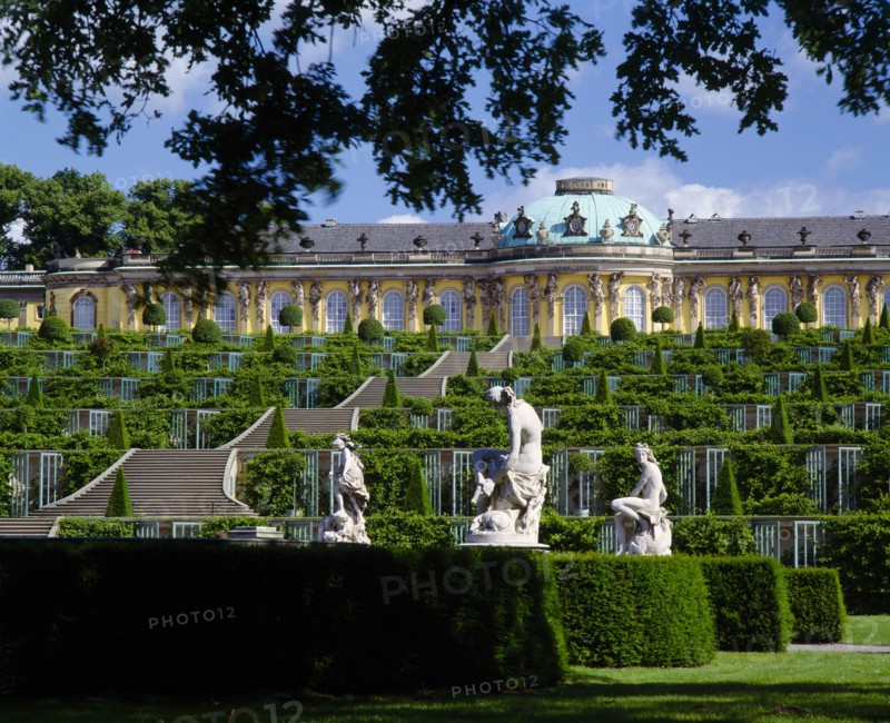 GERMANY, Brandenberg, Potsdam, "Sanssouci Park.  Terraced steps and topiary leading to Palace, with statues in the foreground partly framed by tree branches. "