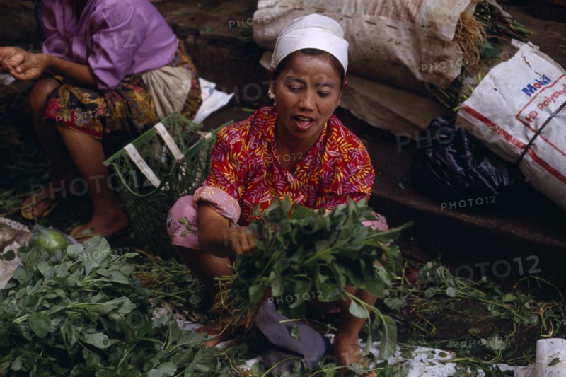 INDONESIA, Sumatra , Bukittinggi, Female vendors in vegetable market.