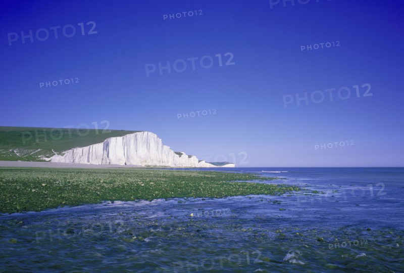 ENGLAND, East Sussex, Birling Gap, Seven Sisters chalk cliffs seen across seaweed covered rocks at low tide