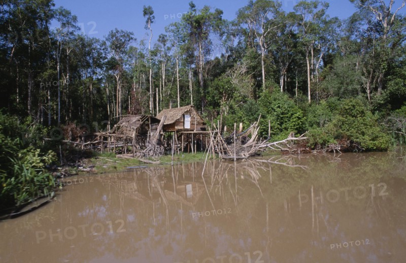 BORNEO, Jungle, Riverside stilt houses in small clearing