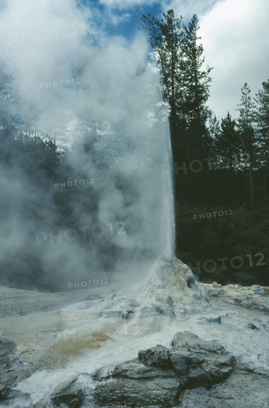 NEW ZEALAND, North Island, Waiotapu, Lady Knox geyser.