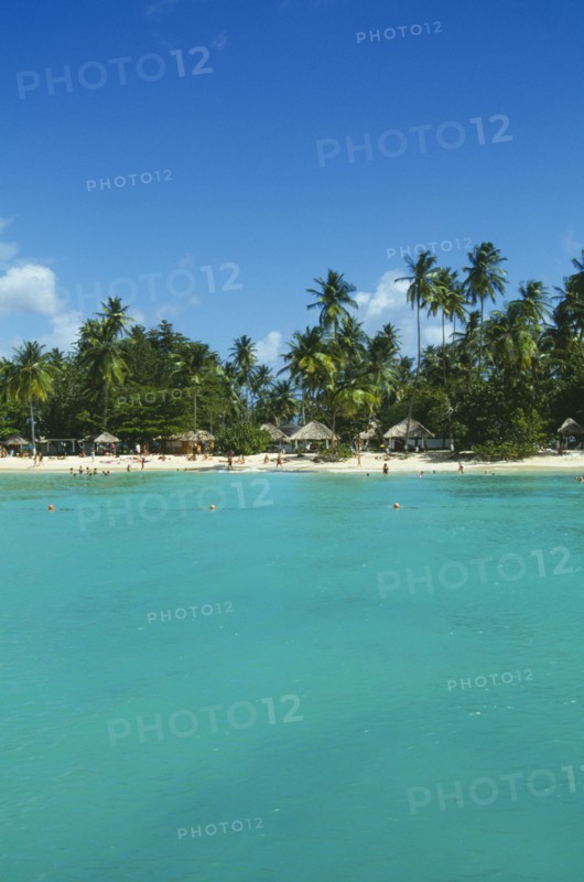 WEST INDIES, Tobago, Pigeon Point, Coconut palm tree lined beach with thatched sun shades and tourists seen from the sea