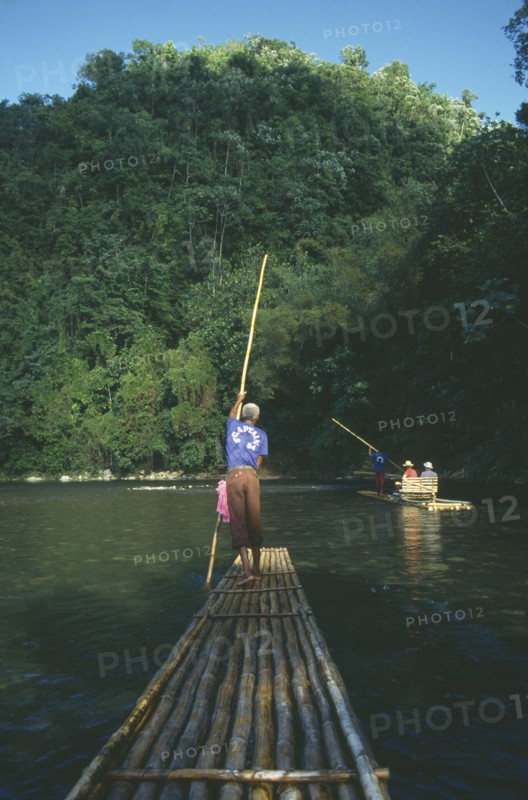 WEST INDIES, Jamaica, Rio Grande, Tourists being taken on rafts down the river