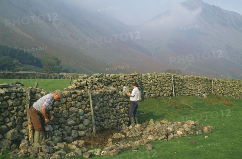 ARCHITECTURE,  , Walls, Men reparing drystone wall Wasdale Head Lake District