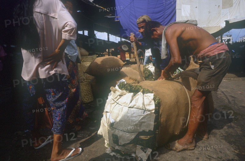 CAMBODIA, Phnom Pehn, Marijuana drugs being tied into bundles in the market.