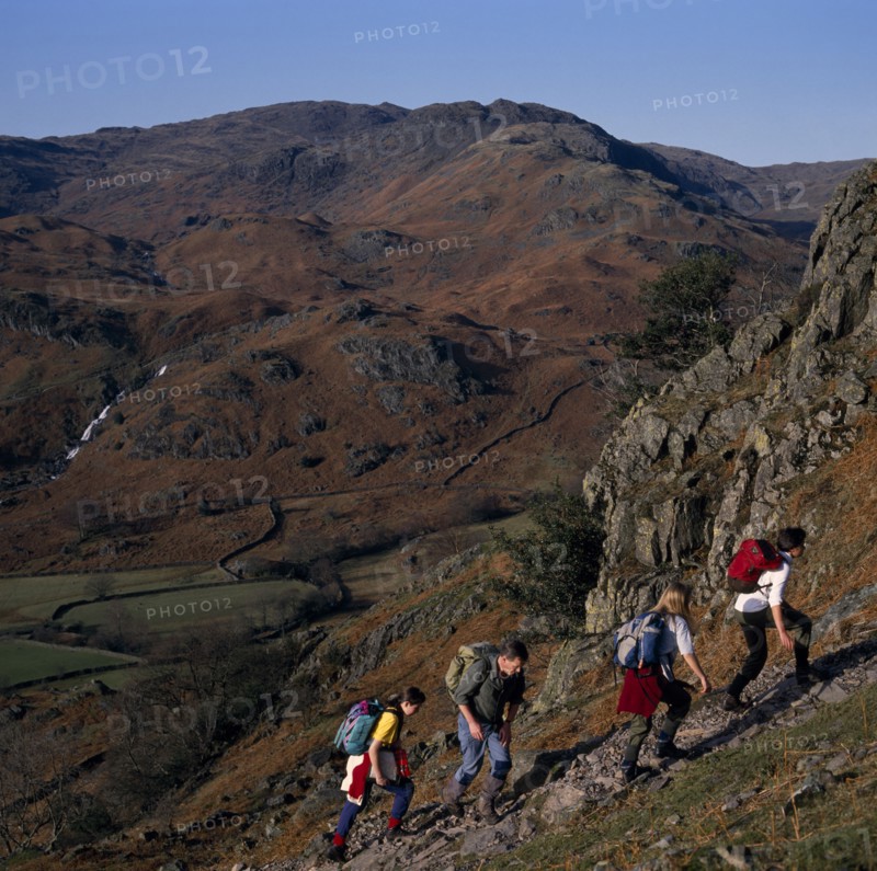 ENGLAND, Cumbria, Lake District, Walkers on footpath to Helm Crag above Grasmere with view west to Sour Milk Gill.