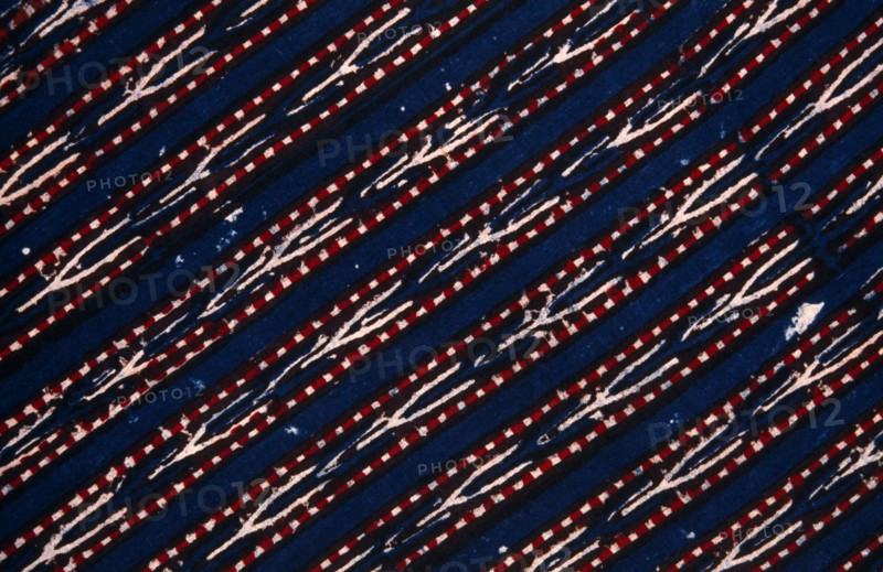 INDIA, General, Close up of Rajasthani block printed material