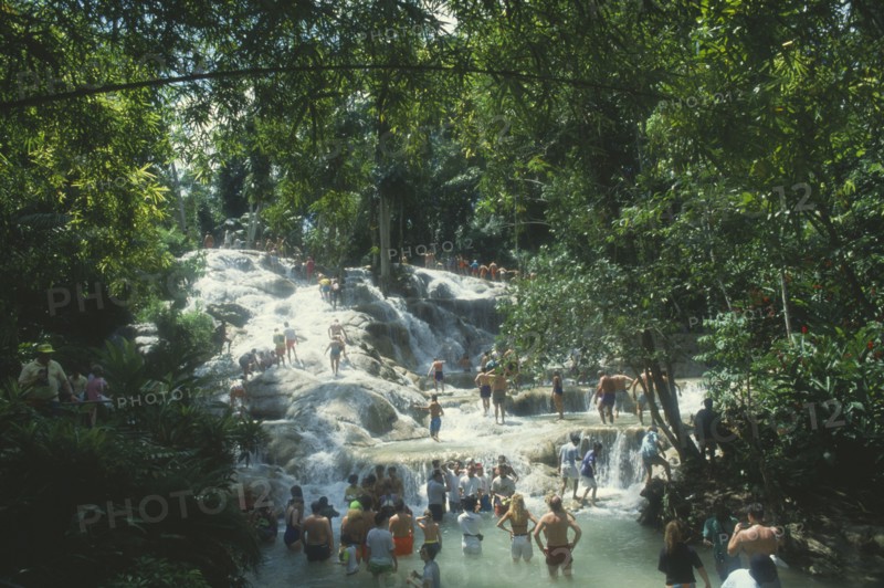 WEST INDIES, Jamaica, Ocho Rios, Dunns River Falls through trees with tourists walking in the pools