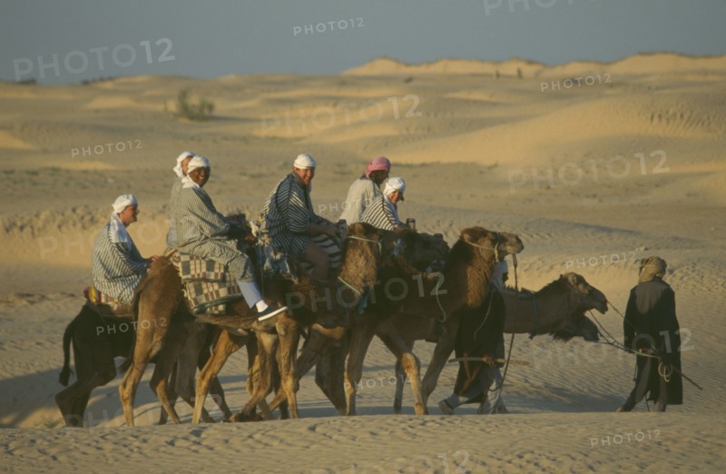 TUNISIA, Sahara Desert, Men riding Camels