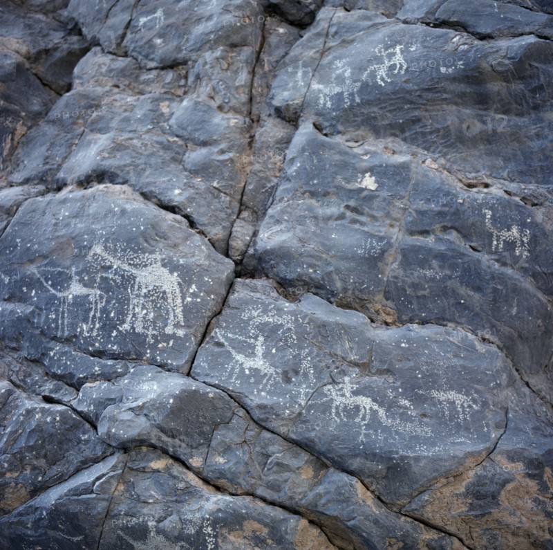 OMAN, Jebel Akhdar, Wadi Sahtan, Rock drawings of men on camels and horses scratched on grey stones