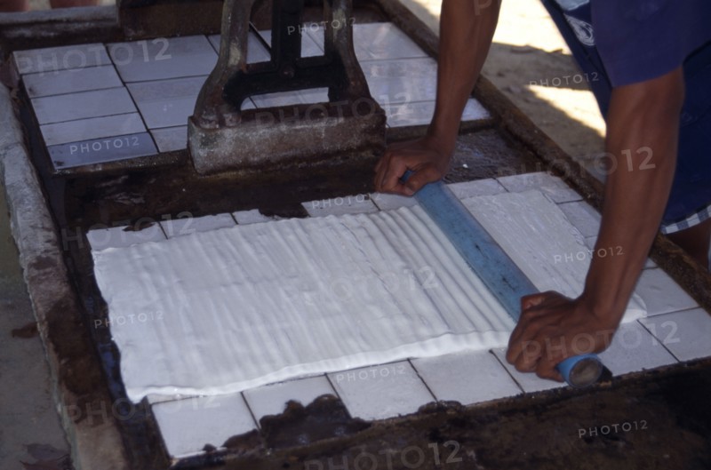 THAILAND, Phang Nga, Preparing soaked latex rubber for rolling out