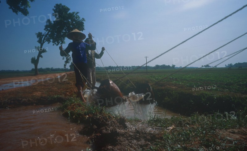 VIETNAM, General, Irrigating paddy fields along road to Ha Bac.