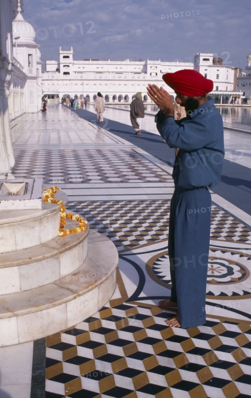 INDIA, Punjab, Amritsar, Golden Temple.  Barefooted Sikh man praying in front of shrine with garland of marigold flowers lying across marble steps.
