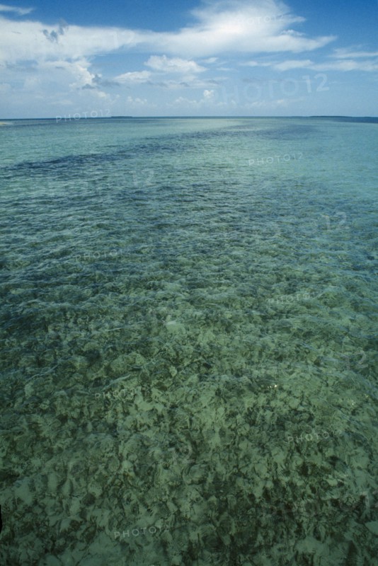 CUBA, Ciego De Avila, Cayo Guillermo, Clear shallow water