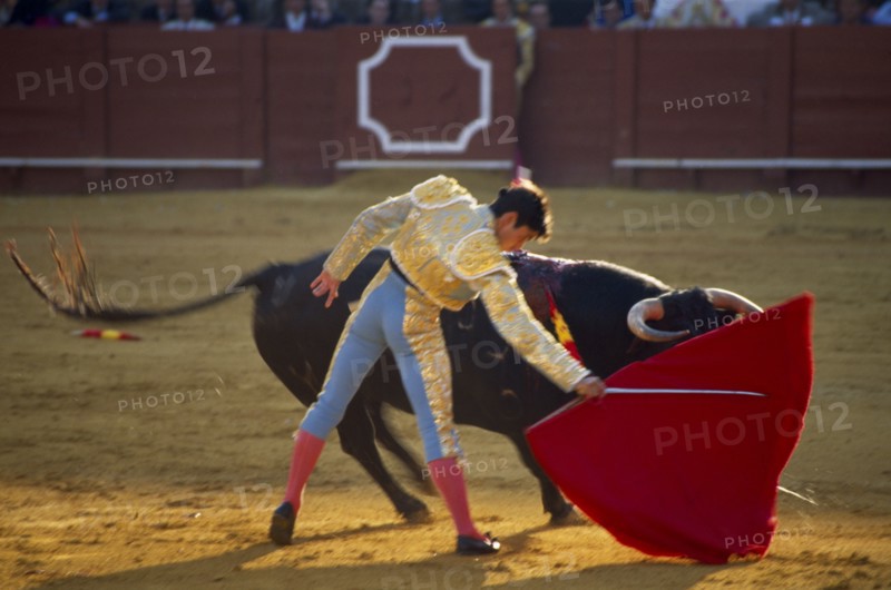 SPAIN, Andalucia , Seville, Bullfight Matador