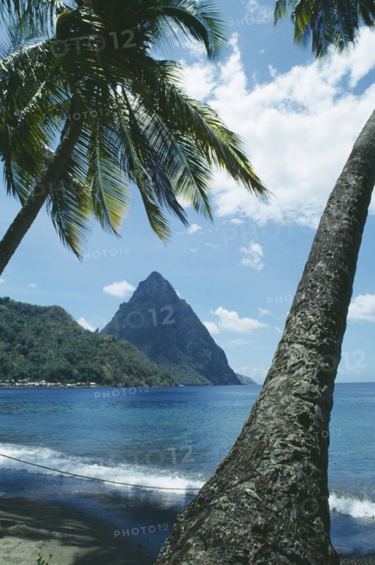 WEST INDIES, St Lucia, Soufriere, The Pitons framed by palm trees on beach in the foreground.