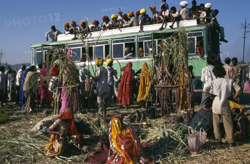 INDIA, Rajasthan , Pushkar , Over crowded bus with people on the roof and hanging out of windows.