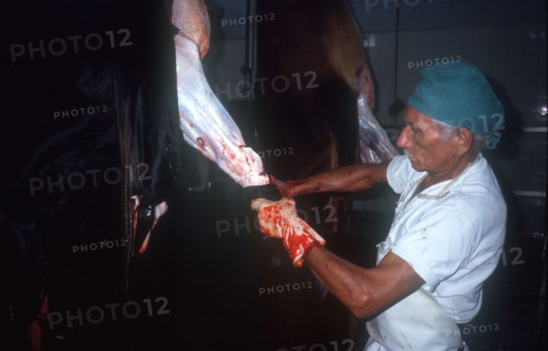 CUBA, Camaguey , Abattoir with man skinning hanging carcase
