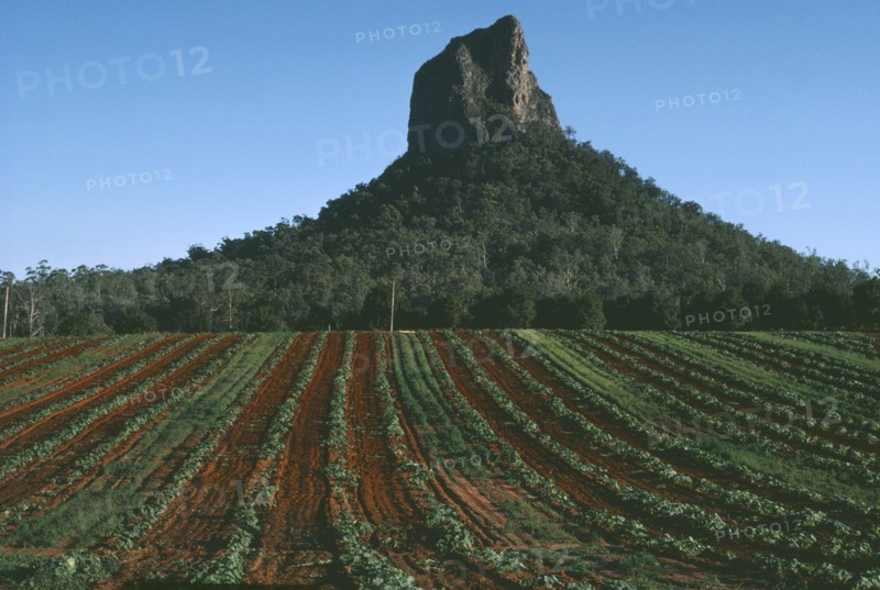 AUSTRALIA, Queensland, Mount Coonowrin, Cultivated land with trees and mountain behind.
