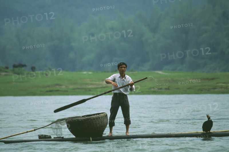 CHINA, Fishing, Fisherman in boat with Cormorants