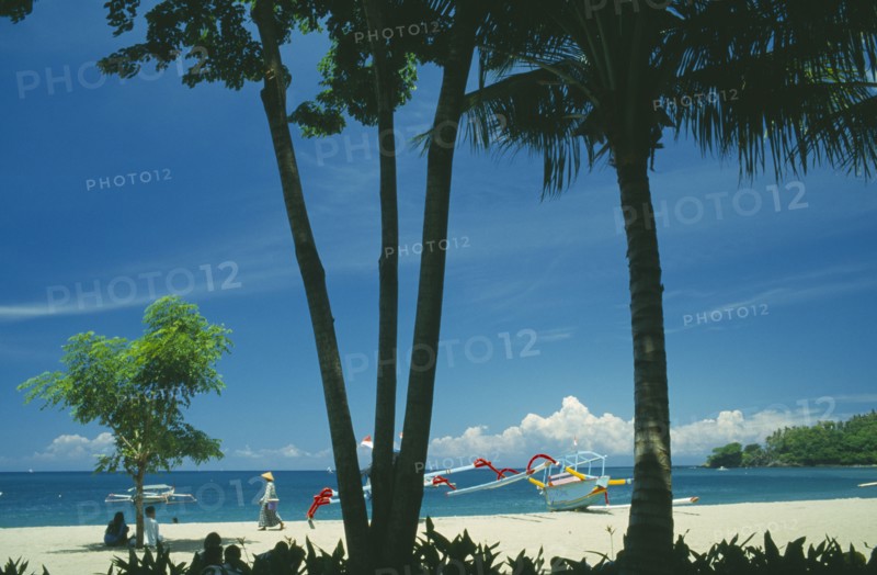 INDONESIA, Lombok, Senggigi, The beach seen through coconut palm trees with outrigger fishing sailboats ashore