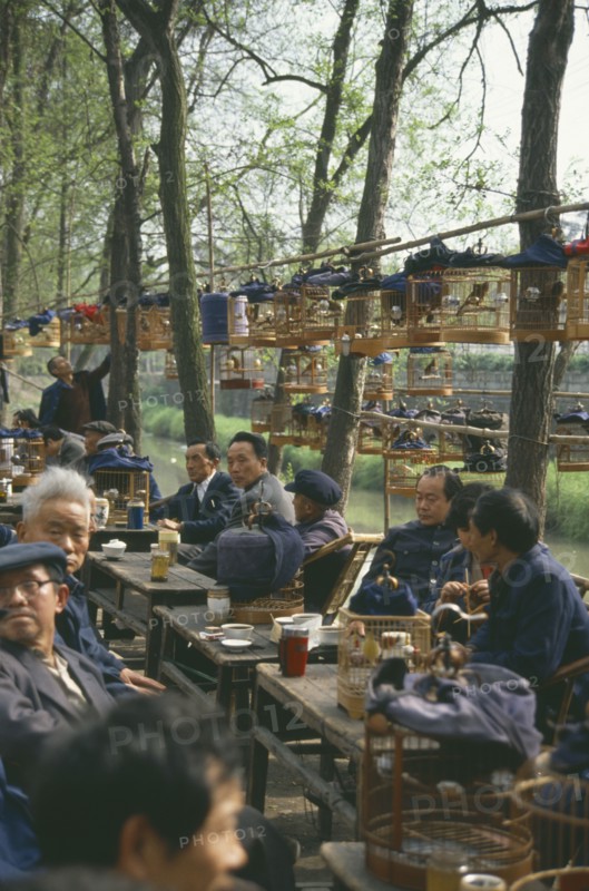CHINA, Sichuan, Chengdu, Songbirds in cages at a tea house.