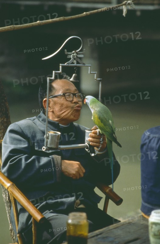 CHINA, People, Old Man in Cafe with Pet Parrot
