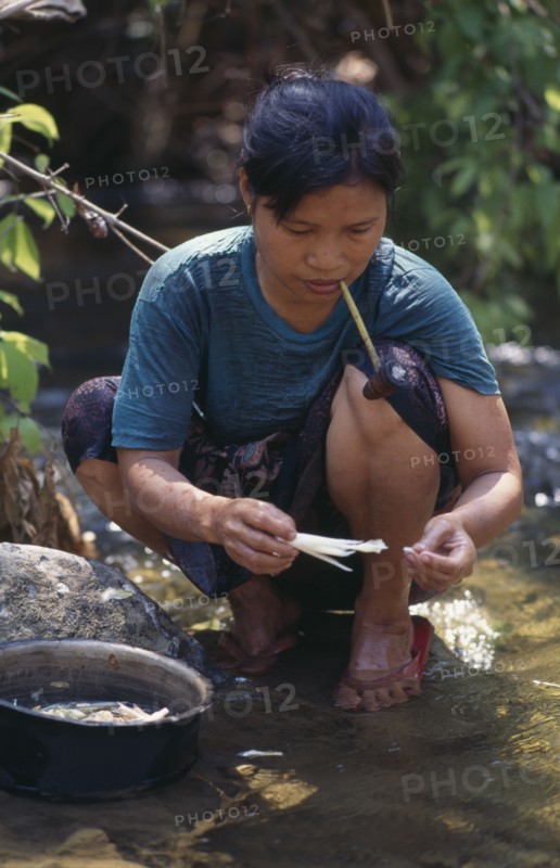 THAILAND, North, Mae Sariang, Karen refugee woman washing food while smoking a pipe
