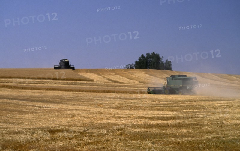 USA, Idaho, Agriculture, Combine harvester in wheat field