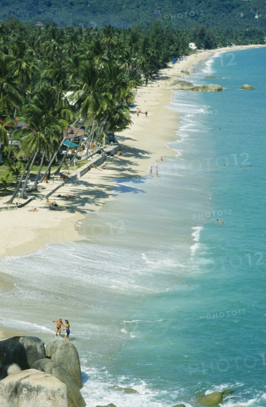 THAILAND, Surat Thani, Koh Samui, "View along Lamai beach with palm trees, huts and tourists"