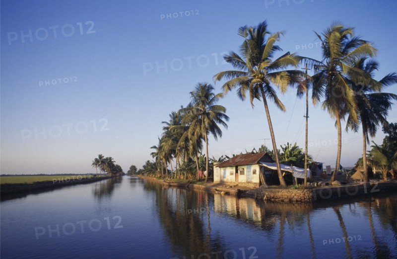 INDIA, Kerala, The Backwaters, House beside canal lined by palm trees with washing hanging between trees outside.